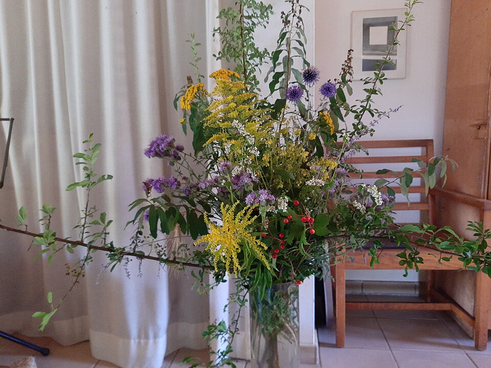 Summer Garden
